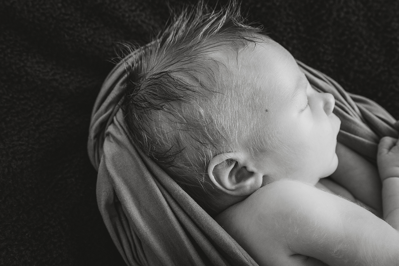 Newborn portrait — Emotif Photography